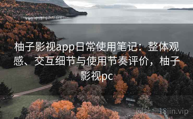 柚子影视app日常使用笔记：整体观感、交互细节与使用节奏评价，柚子影视pc