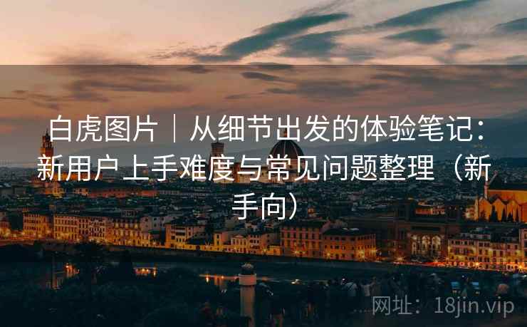 白虎图片｜从细节出发的体验笔记：新用户上手难度与常见问题整理（新手向）