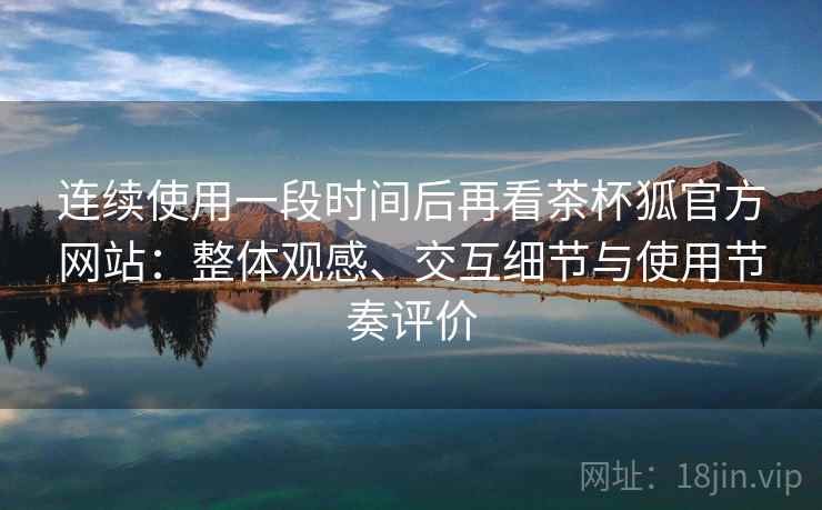 连续使用一段时间后再看茶杯狐官方网站：整体观感、交互细节与使用节奏评价