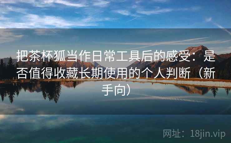 把茶杯狐当作日常工具后的感受：是否值得收藏长期使用的个人判断（新手向）