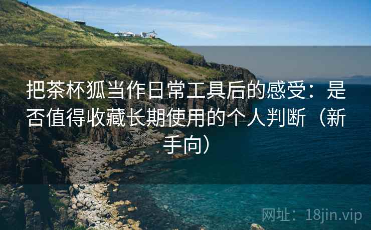 把茶杯狐当作日常工具后的感受:是否值得收藏长期使用的个人判断(新手向) 把茶杯狐当作日常工具后的感受:是否值得收藏长期使用的个人判断(新手向)