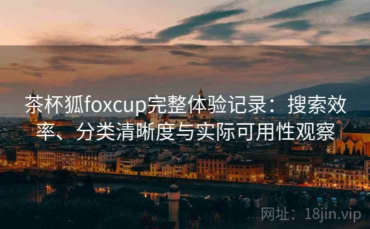 茶杯狐foxcup完整体验记录：搜索效率、分类清晰度与实际可用性观察