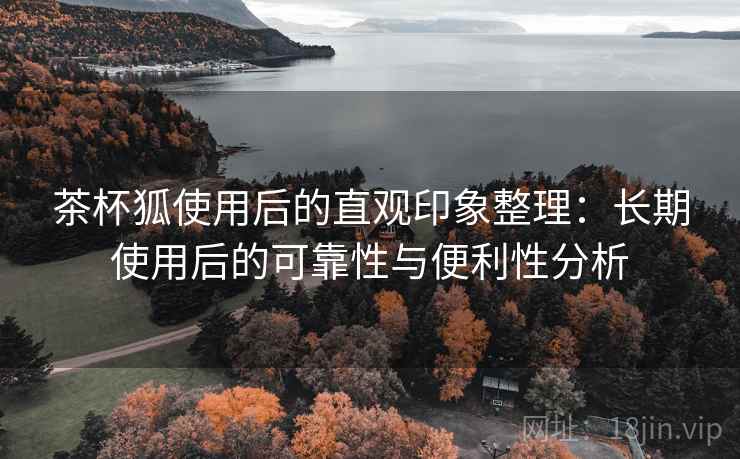 茶杯狐使用后的直观印象整理:长期使用后的可靠性与便利性分析 茶杯狐使用后的直观印象整理:长期使用后的可靠性与便利性分析