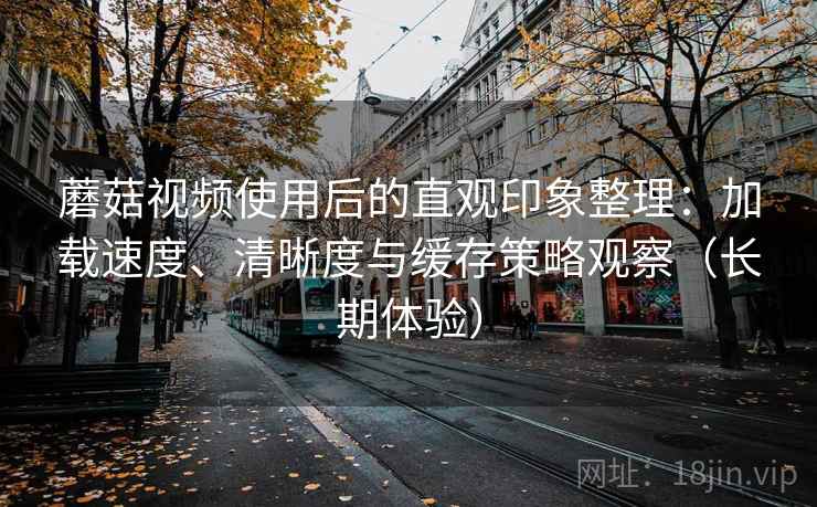 蘑菇视频使用后的直观印象整理：加载速度、清晰度与缓存策略观察（长期体验）